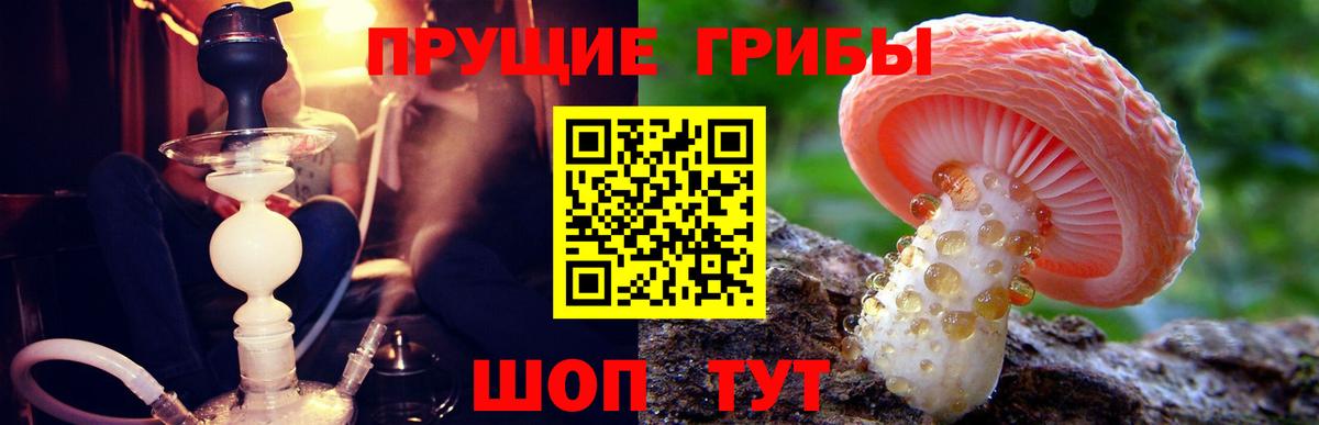 Нягань  Псилоцибиновые грибы мицелий  Псилоцибиновые грибы MAGIC MUSHROOMS  Вход с VPN 