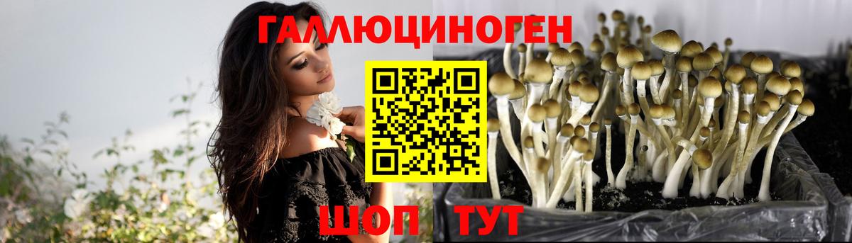 Галлюциногенные грибы Cubensis Нягань